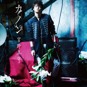 免费🔞无码进口动漫
