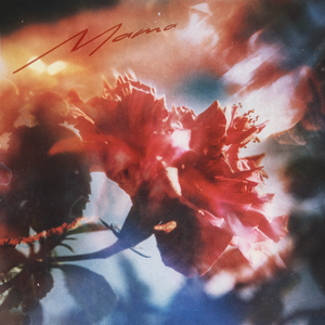 免费🔞无码进口动漫
