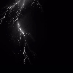 免费🔞无码进口动漫
